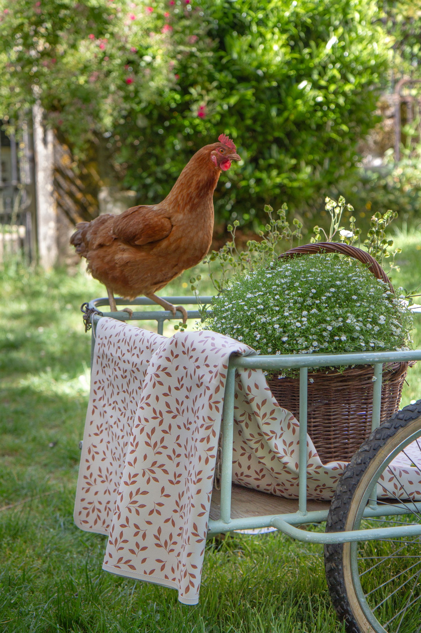 LE MAT FEUILLETTE CACHOU