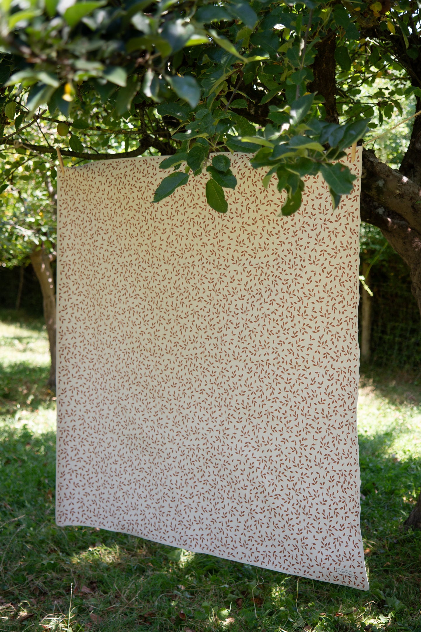 LE MAT FEUILLETTE CACHOU